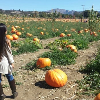 Bates Nut Farm - Me in the vast field of pumpkins. - Specialty Food Near Me - Valley Center, California