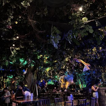 Rainforest Cafe - The Inside of the Restaurant - American Near Me - Ontario, California Rainforest Cafe - The Inside of the Restaurant - American Near Me - Ontario, California
