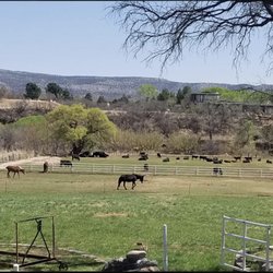 Lazy 5S Cattle - Ranch