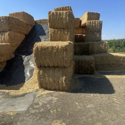 Curfman's Massive Corn Maze - Hay slide
