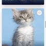 Photo of Arizona Humane Society - Marge Wright Veterinary Clinic