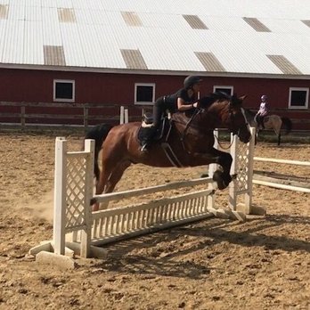 Spring Tide Farm - Horseback Riding Near Me - Newbury, Massachusetts