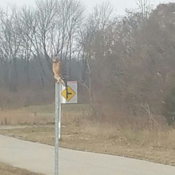 Mary and John Geisse Soccer Complex - Wildlife - Parks Near Me - Indianapolis, Indiana Mary and John Geisse Soccer Complex - Wildlife - Parks Near Me - Indianapolis, Indiana