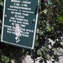 Photo of Upshur Dog Park