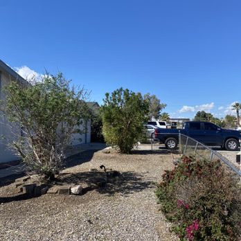 Flores Landscaping - After all, cleaned and trimmed - Landscaping Near Me - Bullhead City, Arizona Flores Landscaping - After all, cleaned and trimmed - Landscaping Near Me - Bullhead City, Arizona