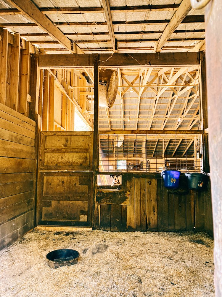 Ryall Springs Farm - equestrian in Chattanooga, TN