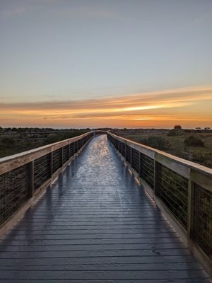 Smyrna Dunes Park by null