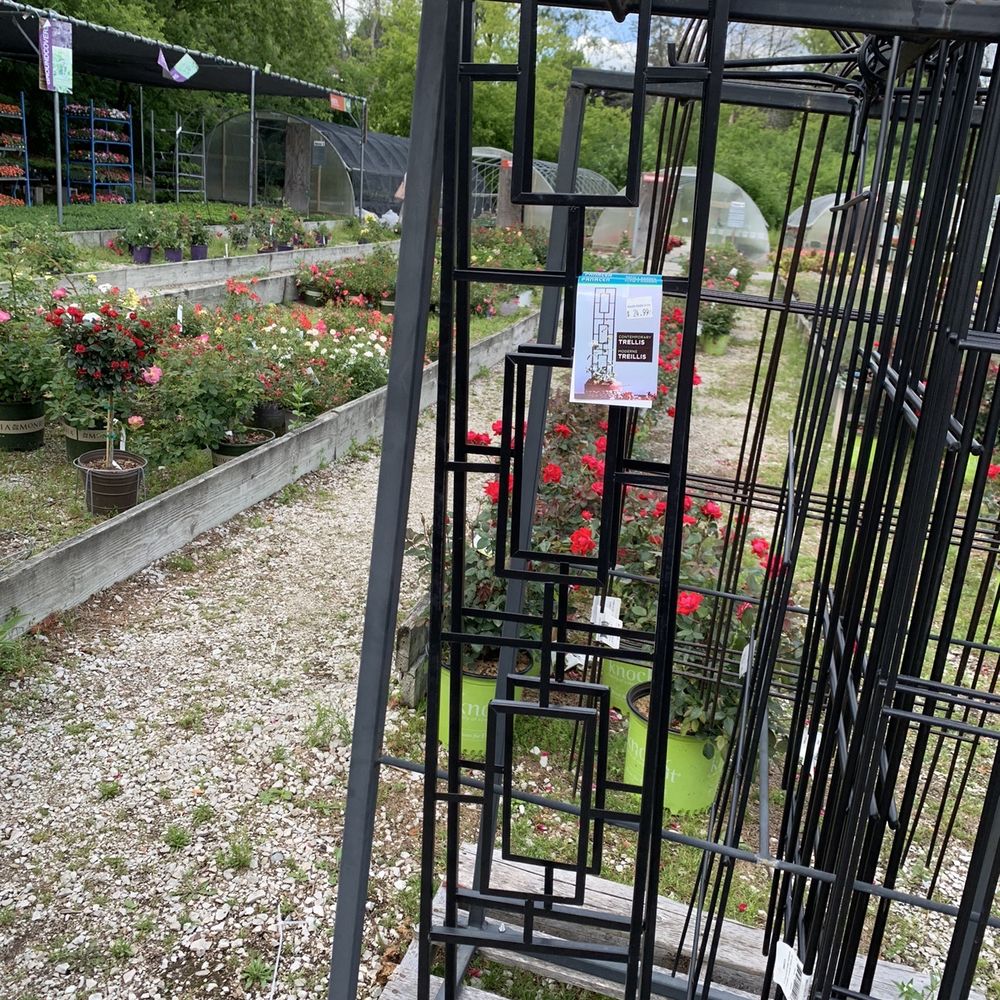 Bayside Garden Center - Small Trellis selection - Nurseries & Gardening Near Me - Bayside, Wisconsin Bayside Garden Center - Small Trellis selection - Nurseries & Gardening Near Me - Bayside, Wisconsin