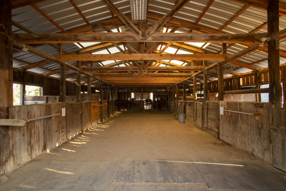 LITTLE REATA STABLES 13 Photos 26275 Co Rd 96, Davis, California Horse Boarding Phone