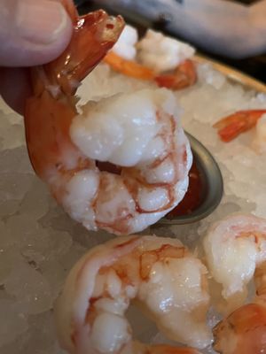 Tortuga's Saltwater Grill by null