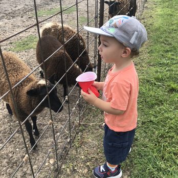 Crowes Nest Farm - Attraction Farms Near Me - Manor, Texas Crowes Nest Farm - Attraction Farms Near Me - Manor, Texas