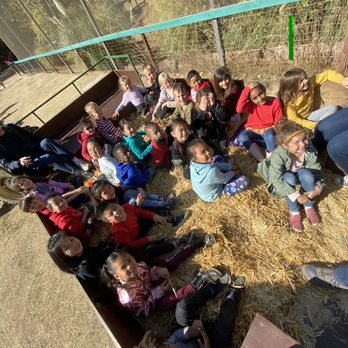 Fog Willow Farms - Hay ride around the farm. - Attraction Farms Near Me - Wilton, California Fog Willow Farms - Hay ride around the farm. - Attraction Farms Near Me - Wilton, California