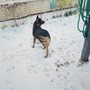 Photo of PAWS Chicago Lurie Clinic
