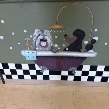 Critter Cleaner - Pet Groomers Near Me - Parker, Colorado Critter Cleaner - Pet Groomers Near Me - Parker, Colorado