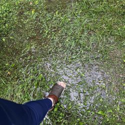 Scott's Trailer Park & Campground - Ground is water sodden mess