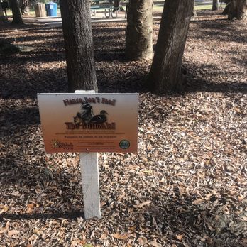 Scott Springs Park - Don't feed a raccoon! - Parks Near Me - Ocala, Florida