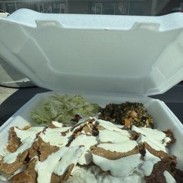 Gyro Plate