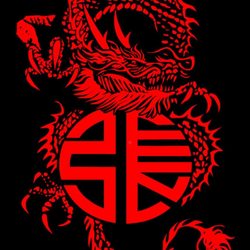 Traditional Wing Chun Baltimore - Shirt logo