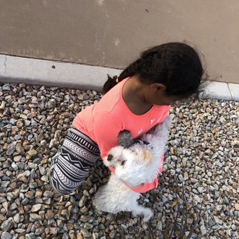 Mesa Park - Parks Near Me - Las Vegas, Nevada
