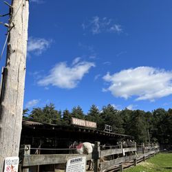 Bobby's Ranch
