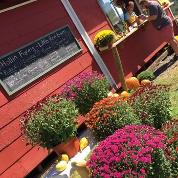 Hollin Farms - The apple cider is a must! - Fruits & Veggies Near Me - Delaplane, Virginia
