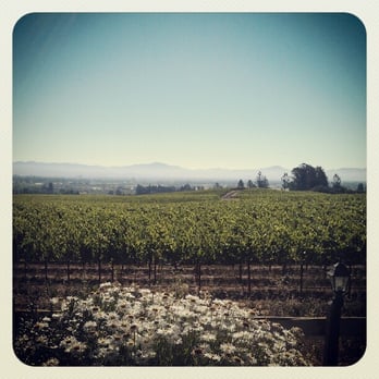 Vine Hill House - The view from the front porch of the house....breathtaking. - Venues & Event Spaces Near Me - Sebastopol, California Vine Hill House - The view from the front porch of the house....breathtaking. - Venues & Event Spaces Near Me - Sebastopol, California