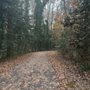 Photo of Walnut Street Park