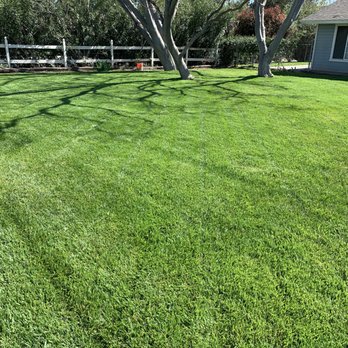 Franco Lawn Services - Lawn Services Near Me Franco Lawn Services - Lawn Services Near Me