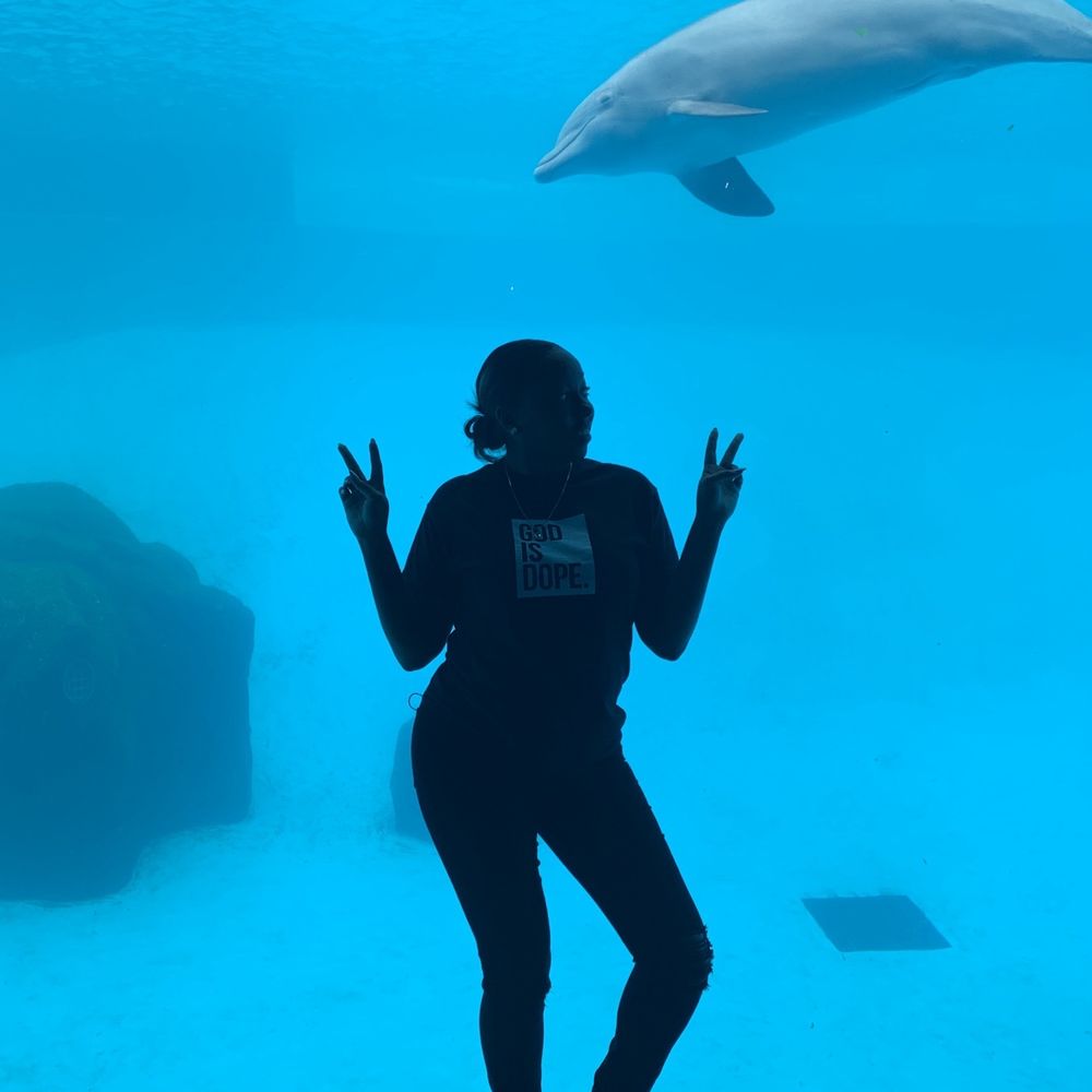 Texas State Aquarium - Underneath the dolphin tank - Aquariums Near Me - Corpus Christi, Texas Texas State Aquarium - Underneath the dolphin tank - Aquariums Near Me - Corpus Christi, Texas