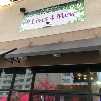 9 Lives 4 Mew - Cat cafe opening at Gardenwalk! - Pet Adoption Near Me - Anaheim, California 9 Lives 4 Mew - Cat cafe opening at Gardenwalk! - Pet Adoption Near Me - Anaheim, California