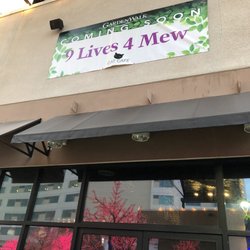 9 Lives 4 Mew - Cat cafe opening at Gardenwalk!
