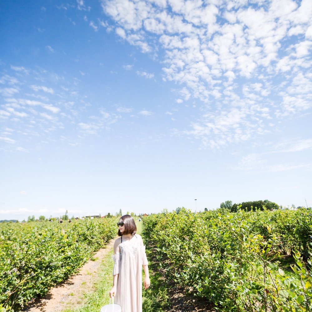 Emma Lea Farms - Fruits & Veggies Near Me - Delta, British Columbia