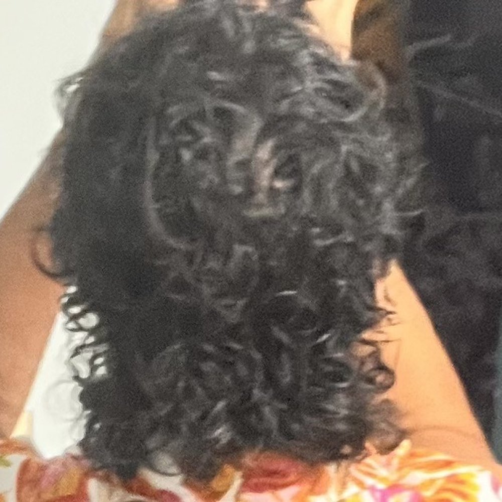 Lemon Tree Hair Salon Stuart - Blow Dry/Out Services Near Me - Stuart, Florida Lemon Tree Hair Salon Stuart - Blow Dry/Out Services Near Me - Stuart, Florida