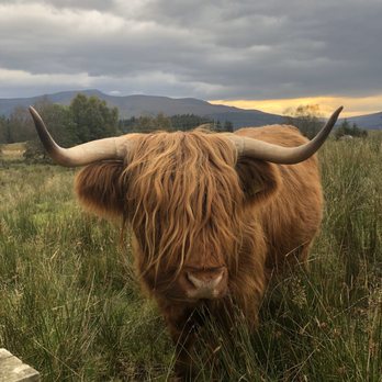 The Scottish Photography Experience - Photography Classes Near Me