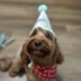 Photo of Charm's Grooming