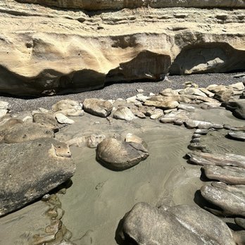 Torrey Pines State Reserve - Parks Near Me - La Jolla, California
