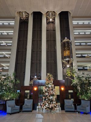 Hilton Bellevue by null
