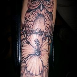 Black & Grey Owl by Catfish