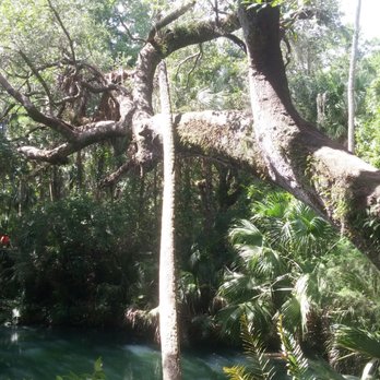 Green Springs Park - Hiking Near Me - Deltona, Florida