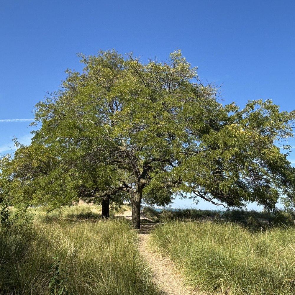 Loyola Park