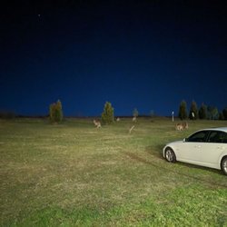 Chateau Elan Hunter Valley