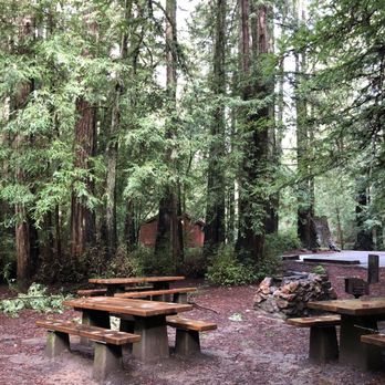 Samuel P Taylor State Park - Communal picnic areas near the creek - Parks Near Me - Lagunitas, California