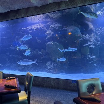 Downtown Aquarium - Seafood Near Me - Houston, Texas Downtown Aquarium - Seafood Near Me - Houston, Texas