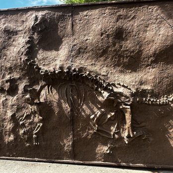 Sac Zoo - Dinosaur Fossil - Zoos Near Me - Sacramento, California Sac Zoo - Dinosaur Fossil - Zoos Near Me - Sacramento, California