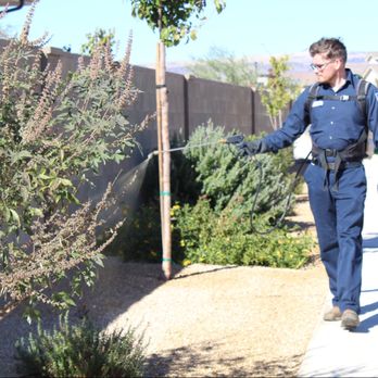 Vista Weed Control - Tree Services Near Me - St. George, Utah Vista Weed Control - Tree Services Near Me - St. George, Utah
