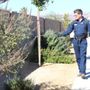 Photo of Vista Weed Control