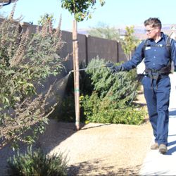 Vista Weed Control