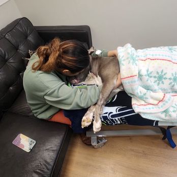 Summit Veterinary Referral Center - She passed just 48hrs after surgery. - Veterinarians Near Me - Tacoma, Washington