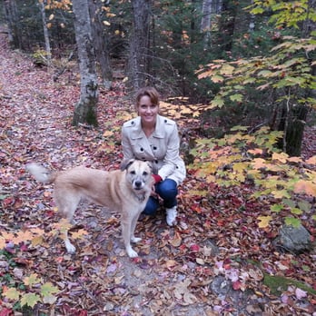 Pet and Pamper - Amy and her Chinook Sierra in New Hampshire - Dog Walkers Near Me - Austin, Texas Pet and Pamper - Amy and her Chinook Sierra in New Hampshire - Dog Walkers Near Me - Austin, Texas