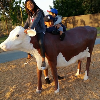 Martial Cottle Park - Moooo. - Parks Near Me - San Jose, California Martial Cottle Park - Moooo. - Parks Near Me - San Jose, California